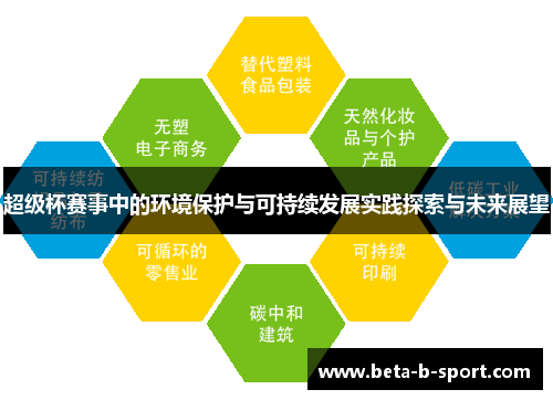 超级杯赛事中的环境保护与可持续发展实践探索与未来展望